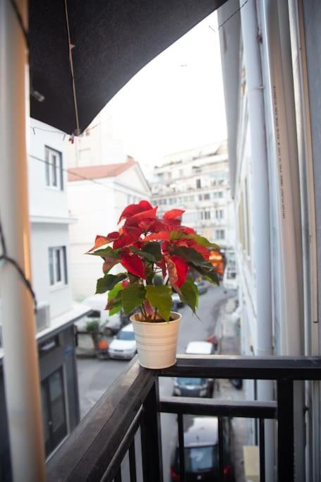 Angel - Cozy, Renovated, In Heart Apartment *